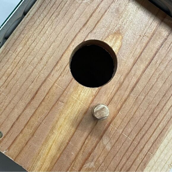 Colorado license plate bird house - Picture 7 of 7